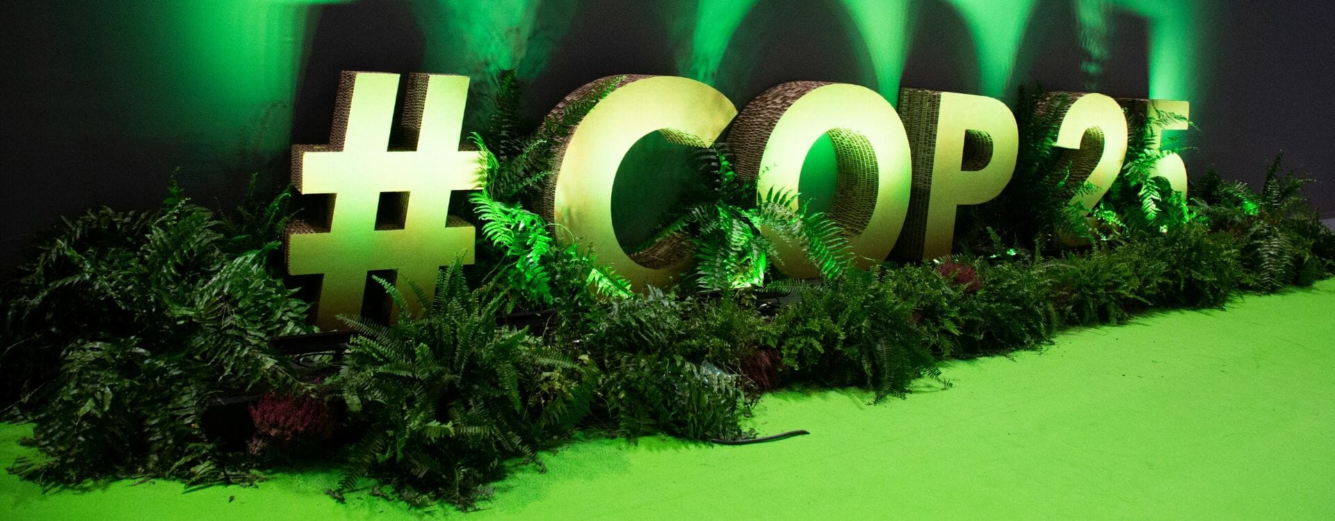 COP 25 Madrid 2019