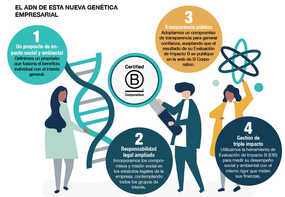 nueva realidad BCorp