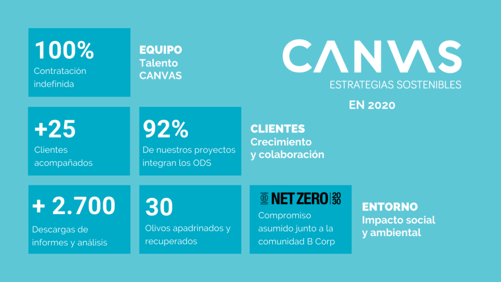 Informe impacto canvas 2020